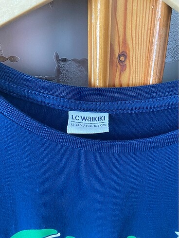 LC Waikiki Erkek çocuk sweatshirt