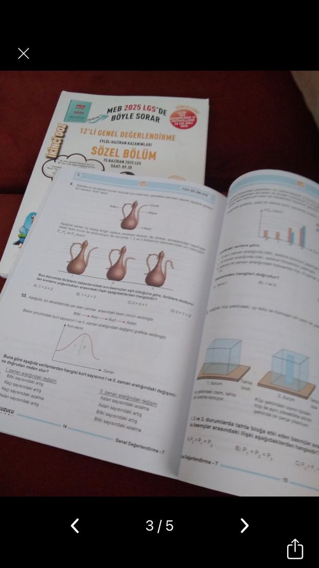 Sinan Kuzucu LGS 12'li Genel Değerlendirme Seti - Görsel 3