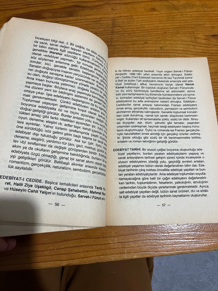 Açıklamalı Edebiyat Terimleri Sözlüğü - Görsel 4
