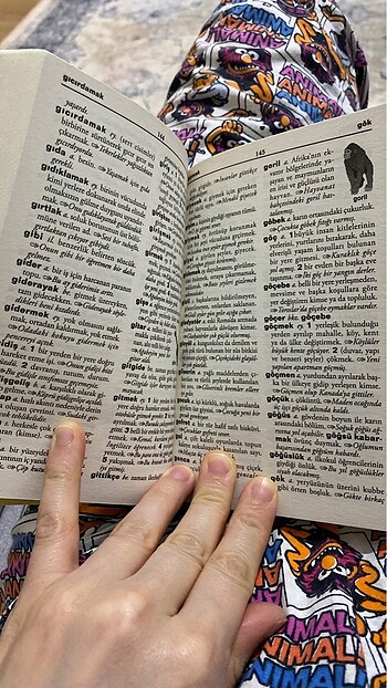 İlkokul Türkçe Sözlük Ali Püsküllüoğlu - Görsel 3