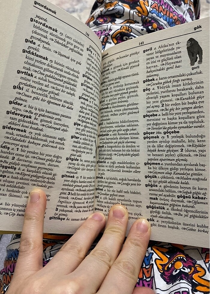 İlkokul Türkçe Sözlük Ali Püsküllüoğlu - Görsel 3