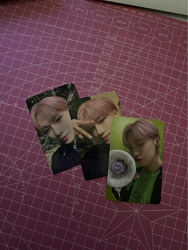 chanhee pcs