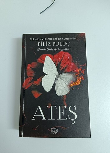 Ateş - filiz puluc