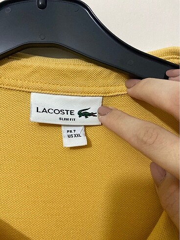 Lacoste Lacoste Tshirt