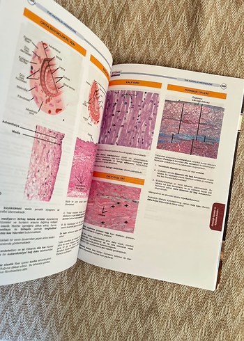 Beden Renk Tusdata Entegre Konu Anlatımı Kitap