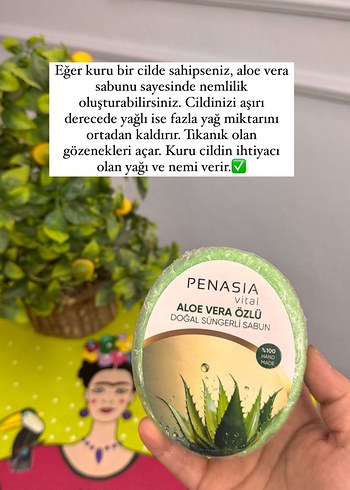 Penasia Aloe Vera Özlü Doğal Süngerli Sabun