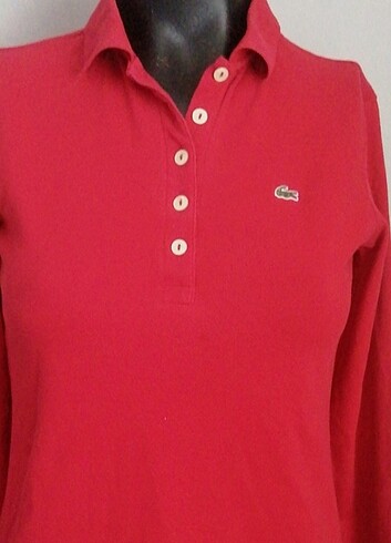 Lacoste LACOSTE Tshirt 