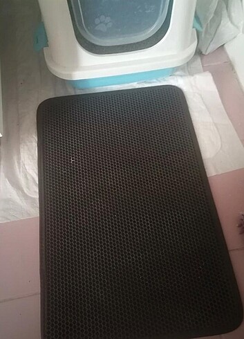 Kedi tuvaleti paspası