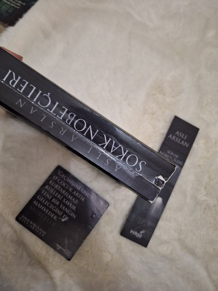 Sokak Nöbetçileri - Aslı Arslan - Görsel 5