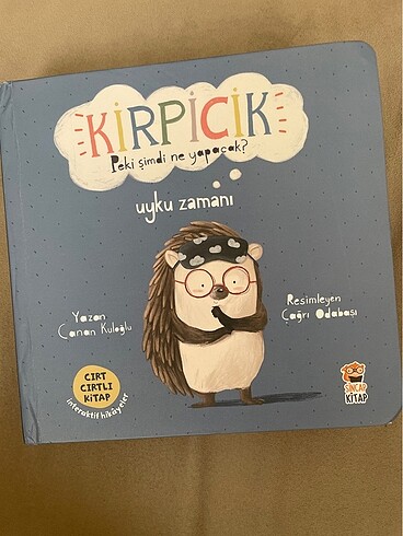 Kirpicik çocuk kitap