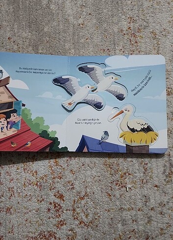 Beden Renk Kitap