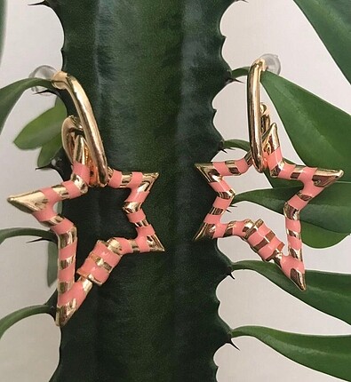 Acceseories marka yıldız küpe