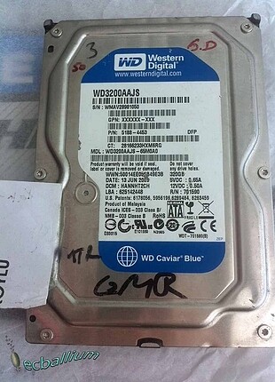 Wd Hardisk