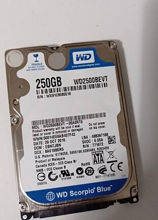  Beden Hardisk