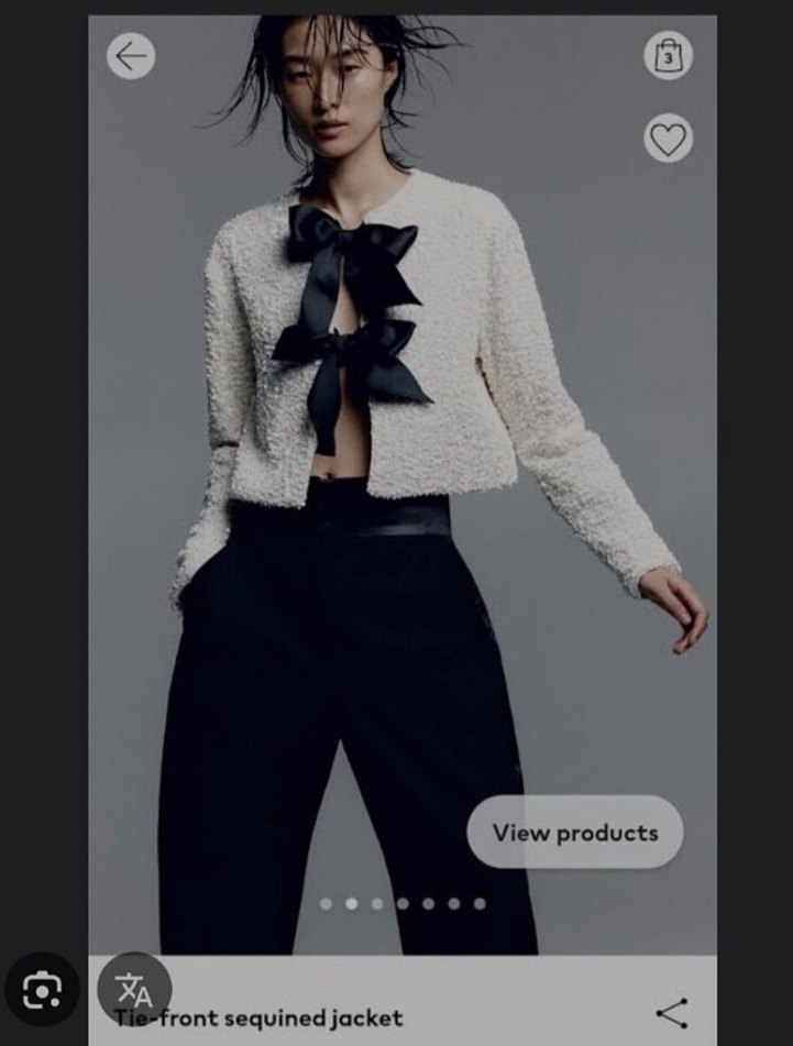 H&m yılbaşı fiyonklu payet ceket - Görsel 2