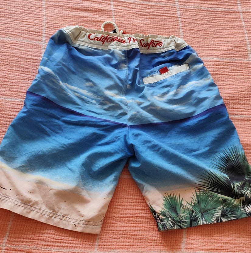 Mavi Baskılı Erkek Deniz Şortu - Görsel 3