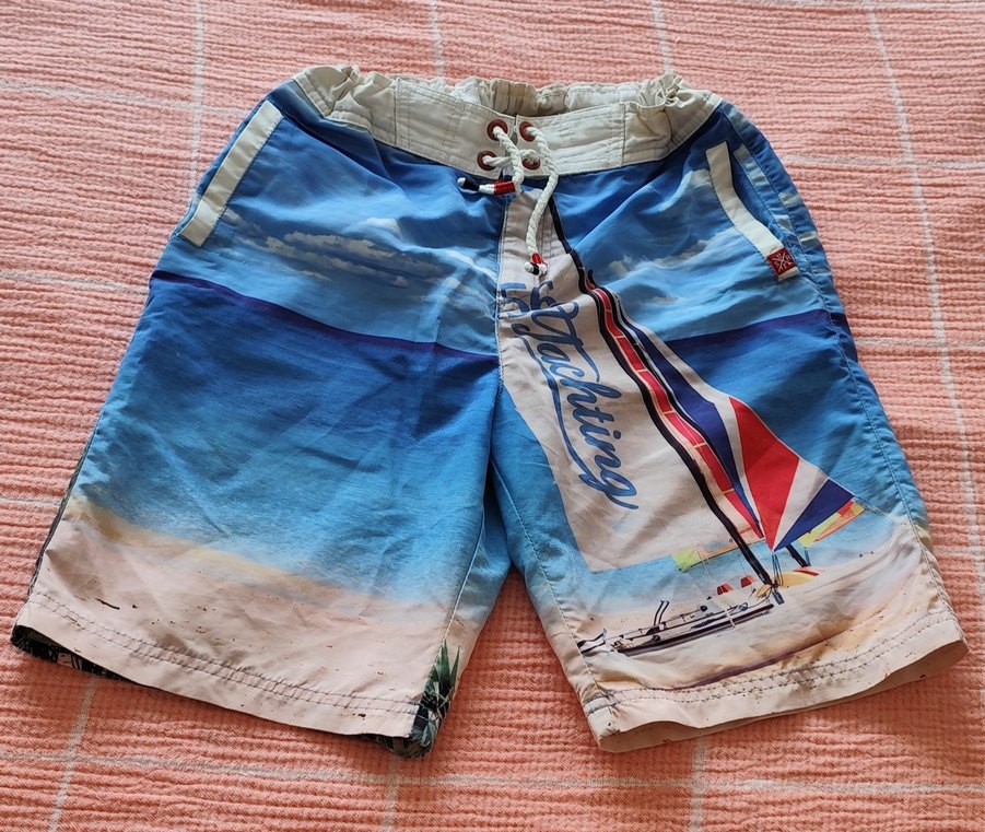 Mavi Baskılı Erkek Deniz Şortu - Görsel 4