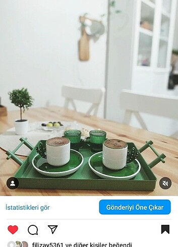 Kaktüslü iki adet fincan