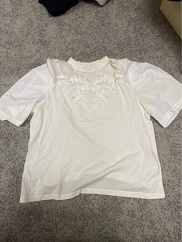 zara ust