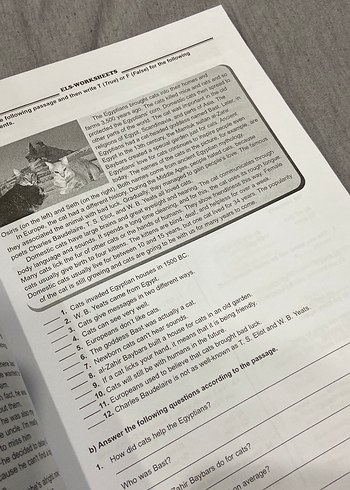 YDT YDS YÖKDİL ELS Work Sheets 2 English İngilizce - Görsel 5