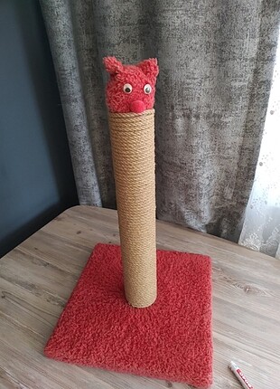 Kedi aksesuar