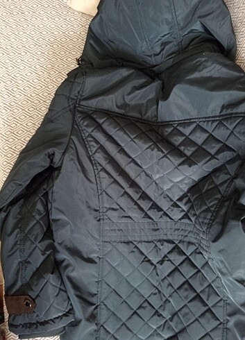 Erkek kaban - Görsel 2