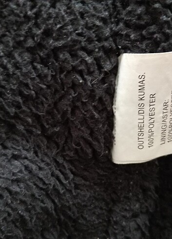 Erkek kaban - Görsel 3