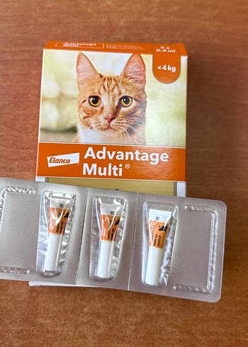 Elanco Advantage Multi Kedi İçin 3lü Koruyucu Serum
