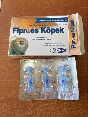 Köpek dış parazit
