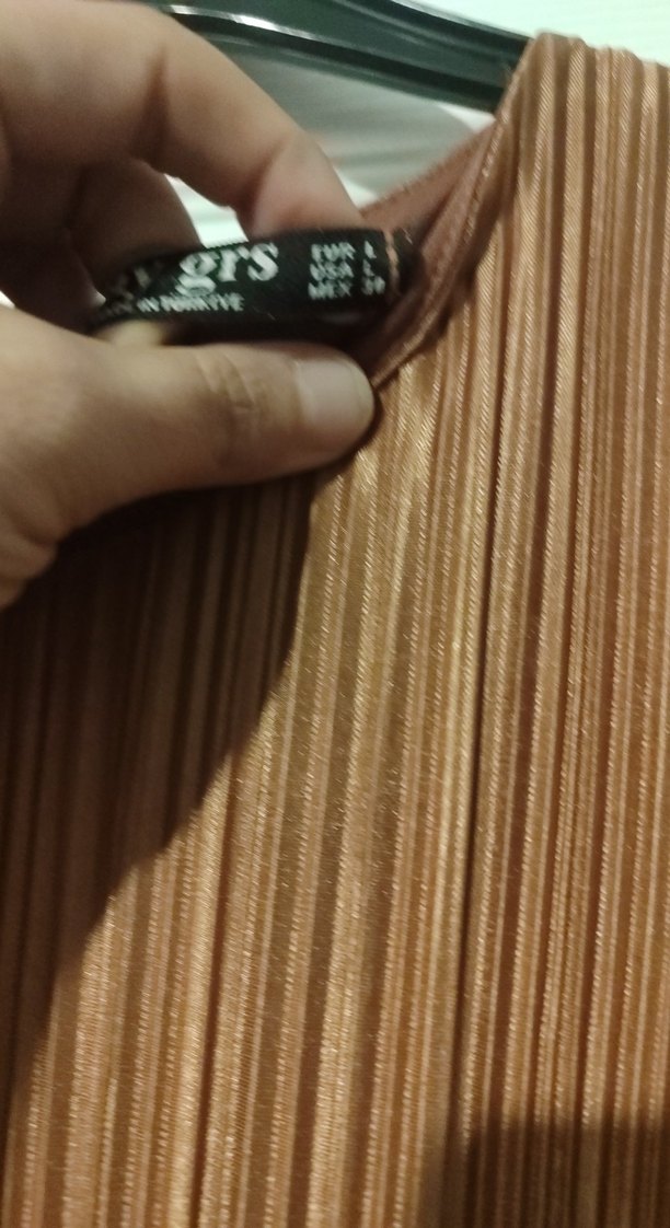 Bej Piliseli Uzun Elbise - Görsel 2