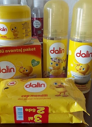 Dalin bakım seti 
