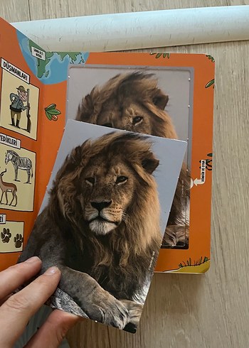 Güçlü Hayvanlar Kart Oyunu - Görsel 3