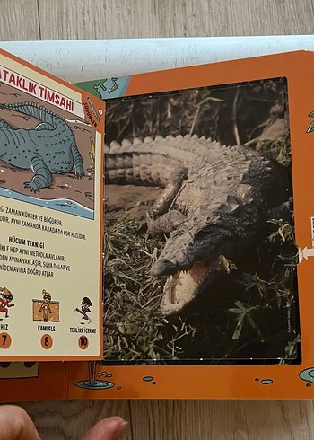 Güçlü Hayvanlar Kart Oyunu - Görsel 6