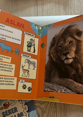 Güçlü Hayvanlar Kart Oyunu - Görsel 2