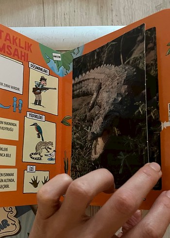 Güçlü Hayvanlar Kart Oyunu - Görsel 5