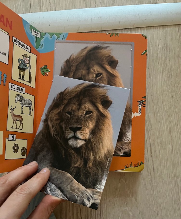 Güçlü Hayvanlar Kart Oyunu - Görsel 3