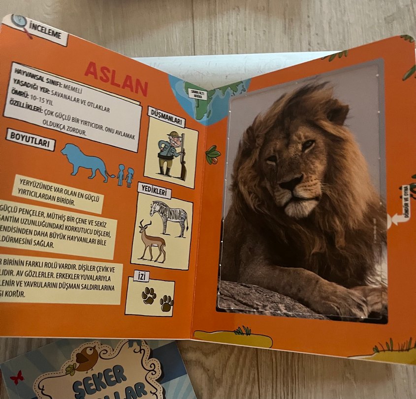 Güçlü Hayvanlar Kart Oyunu - Görsel 2