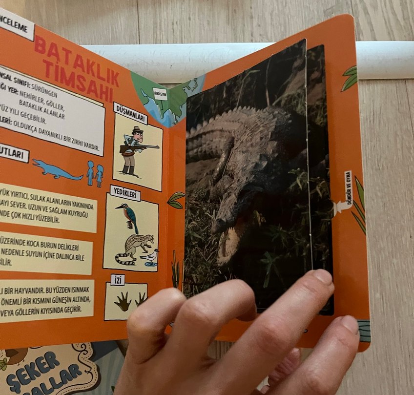 Güçlü Hayvanlar Kart Oyunu - Görsel 5