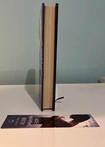 Alice Hakkındaki Gerçek - Görsel 4