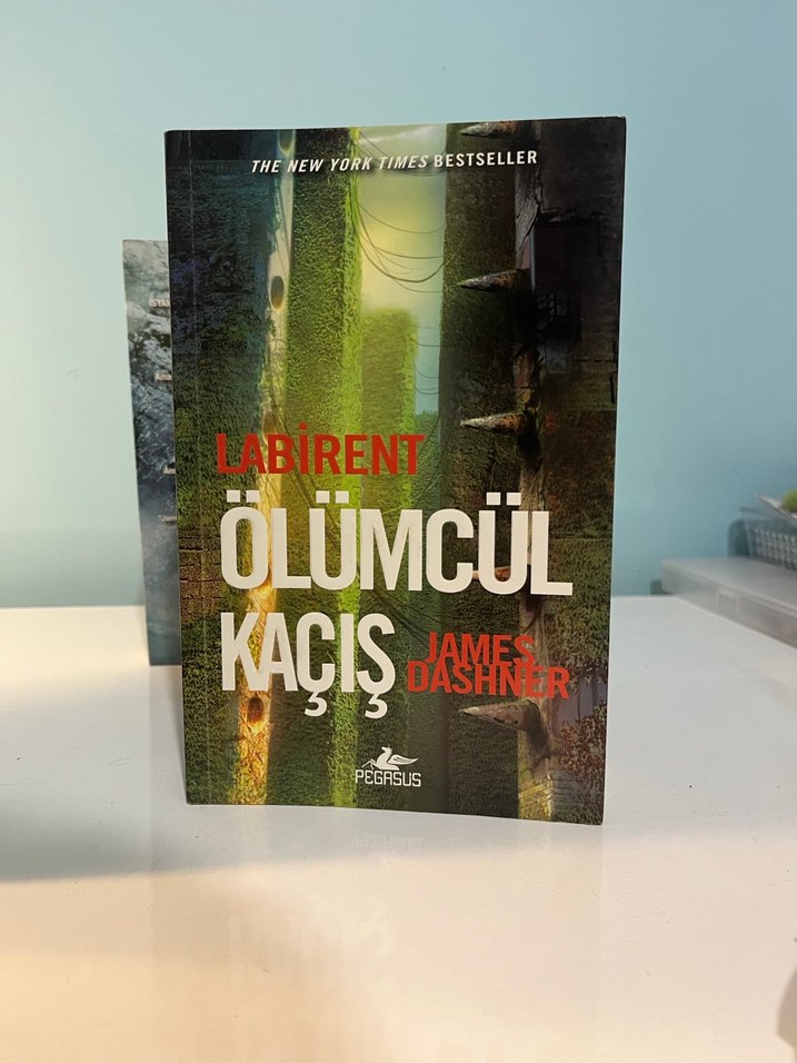 Labirent Serisi 3 Kitap - Görsel 2