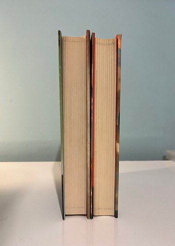 Son Başlangıç ve Bir Sonraki Hayatımız Serisi - Görsel 4