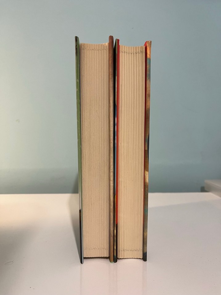 Son Başlangıç ve Bir Sonraki Hayatımız Serisi - Görsel 4