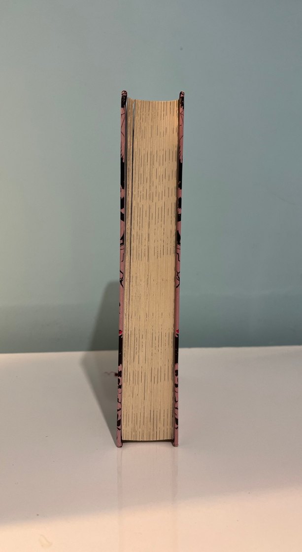 Aşk Tüm Zamanların İçinden Geçer - Yakut Kırmızı - Görsel 4