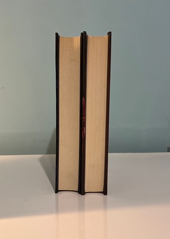 Kazananın Laneti Serisi 2 kitap - Görsel 3