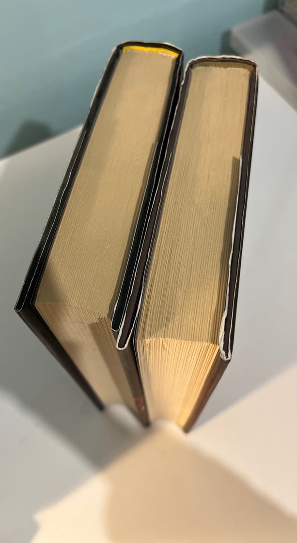 Kazananın Laneti Serisi 2 kitap - Görsel 4