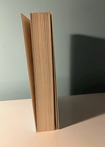 Çevrimiçi Kız - Görsel 3