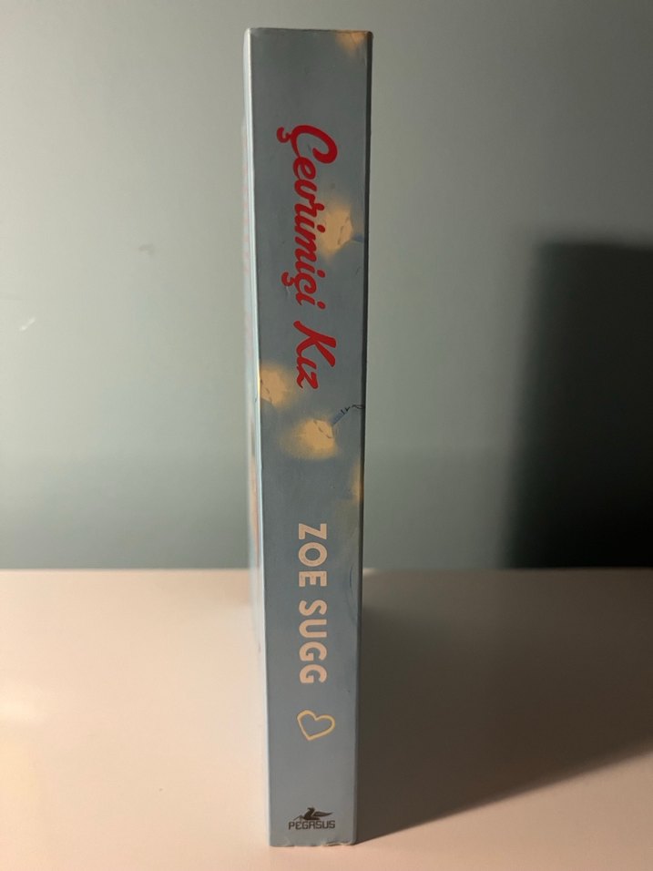 Çevrimiçi Kız - Görsel 2