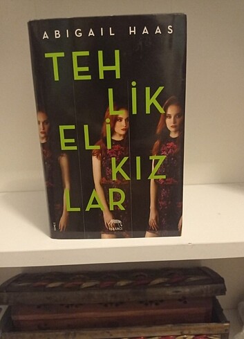 Tehlikeli Kızlar