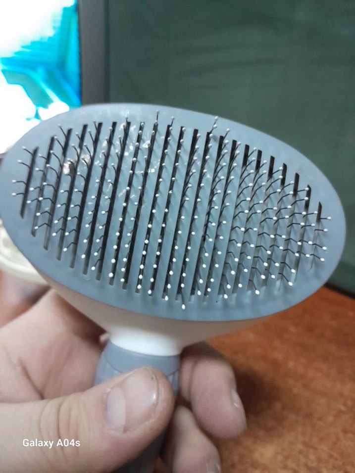 Evcil hayvan taragı yenidir - Görsel 2