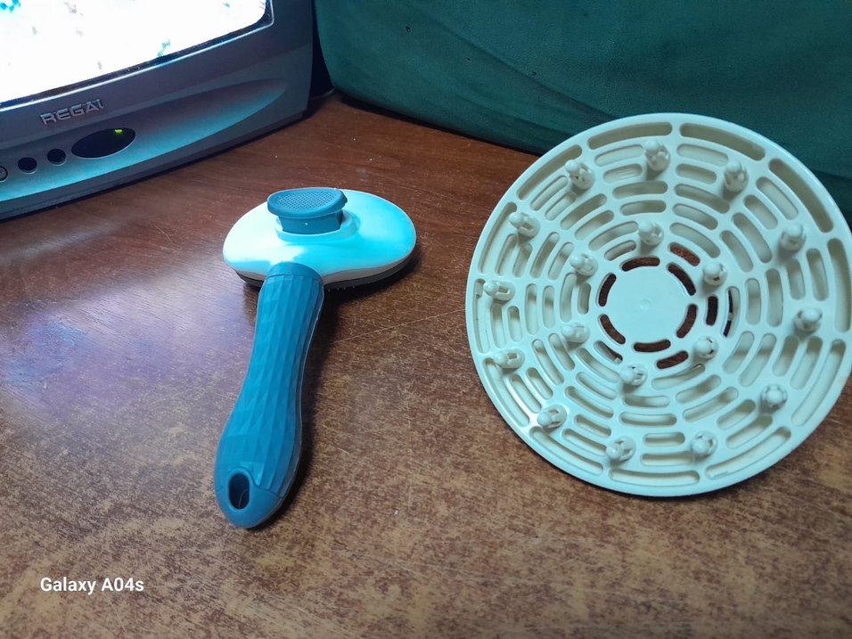 Evcil hayvan taragı yenidir - Görsel 3